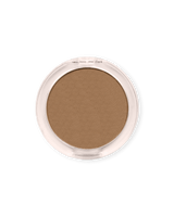 Bronzing Powder